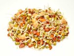 Sprouting Seeds Salad Mix | Seedmart Australia