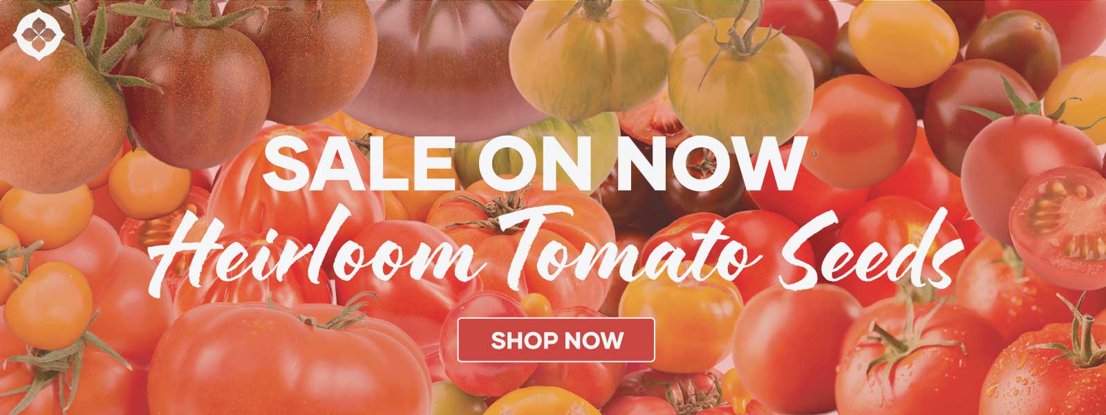 tomato-website-banner-1600x600