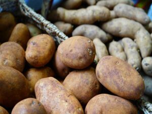 Potato Dutch Cream Certified Seeds | Seedmart Australia
