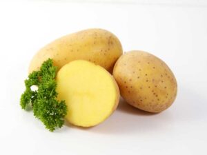 Potatoes 'Nicola' Certified Seeds | Seedmart Australia