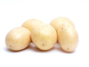 potato-white-star-seeds-seedmart