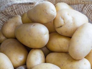 potato-white-star-seeds-seedmart
