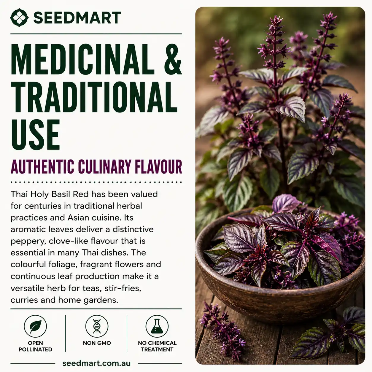 thai-holy-basil-red-seeds-medicinal-seedmart-australia