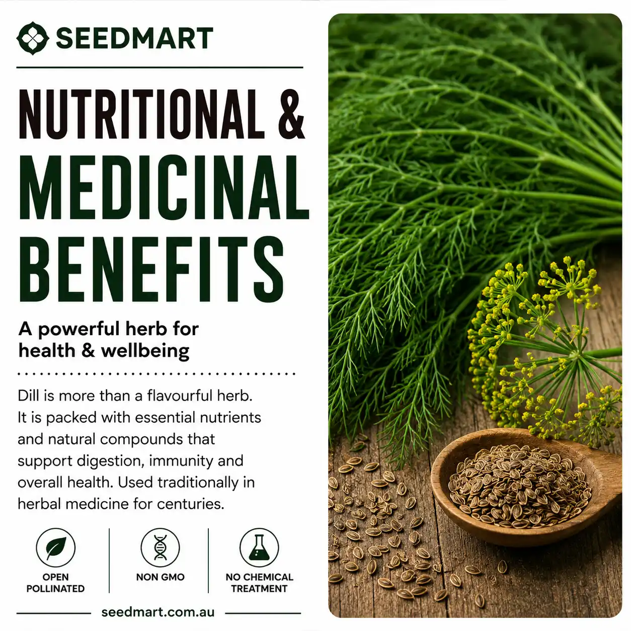 dill-seeds-nutrition-seedmart-australia