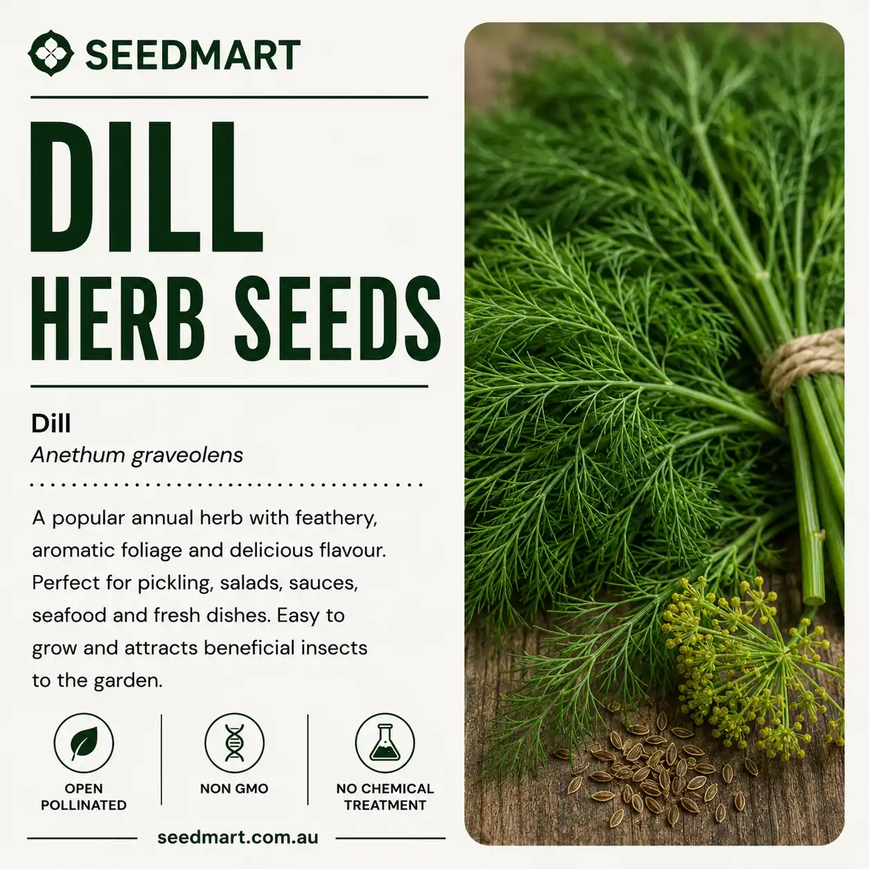 dill-seeds-seedmart-australia-1