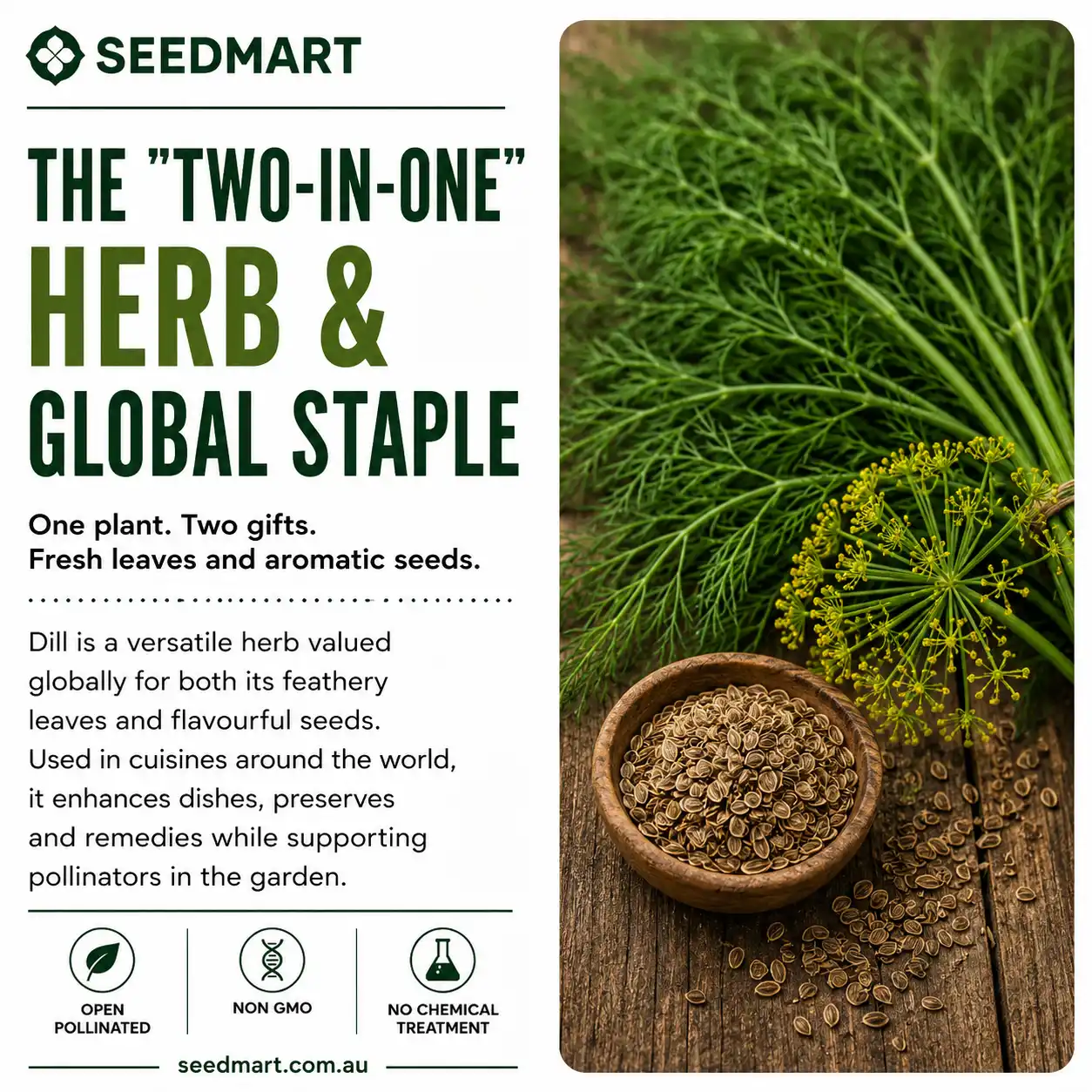 dill-seeds-two-in-one-seedmart-australia