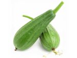 Gourd Luffa Sponge Vegetable Seeds | Seedmart