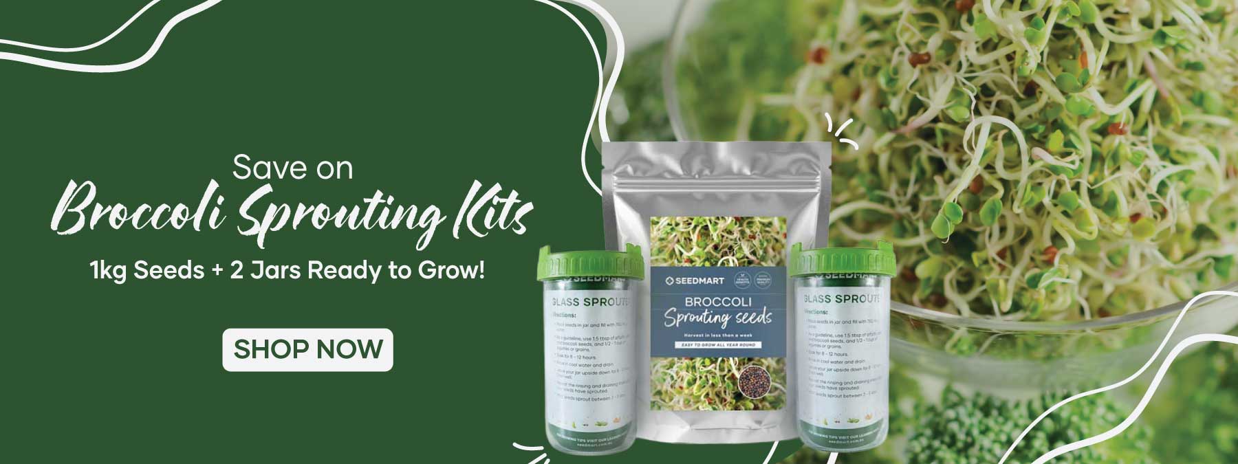 Broccoli Sprouting Kit | Main Page Banner | Seedmart Australia