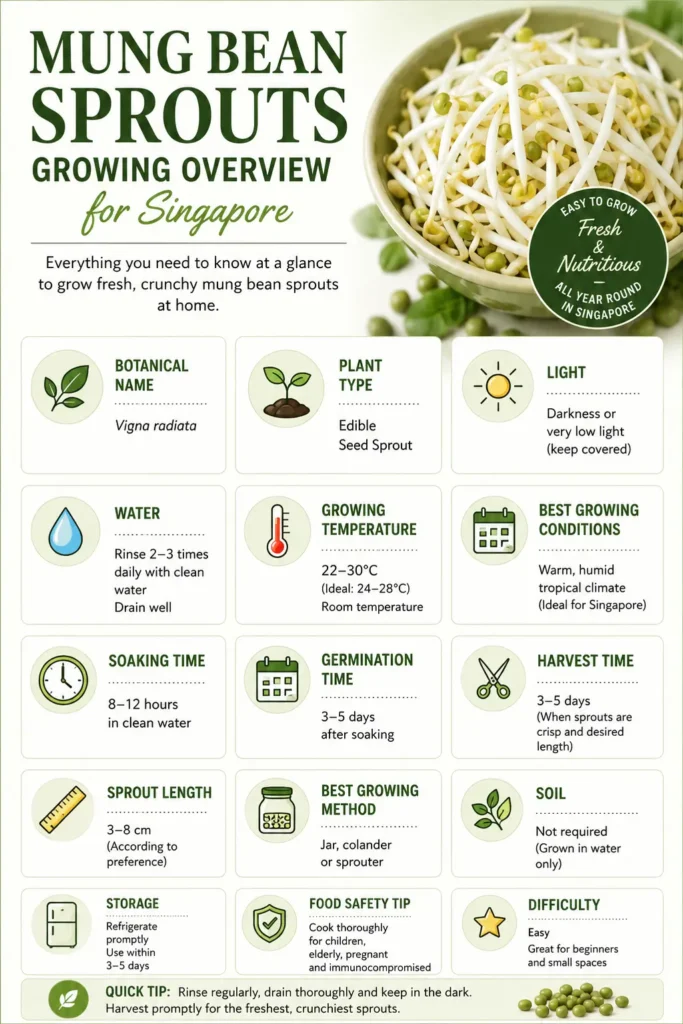 mung-bean-sprouts-growing-overview-singapore-infographic-seedmart-australia