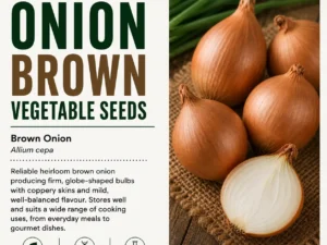 onion-brown-seeds-seedmart-australia-1