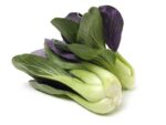 Red Bok Choy Vegetable Seeds | Seedmart Australia