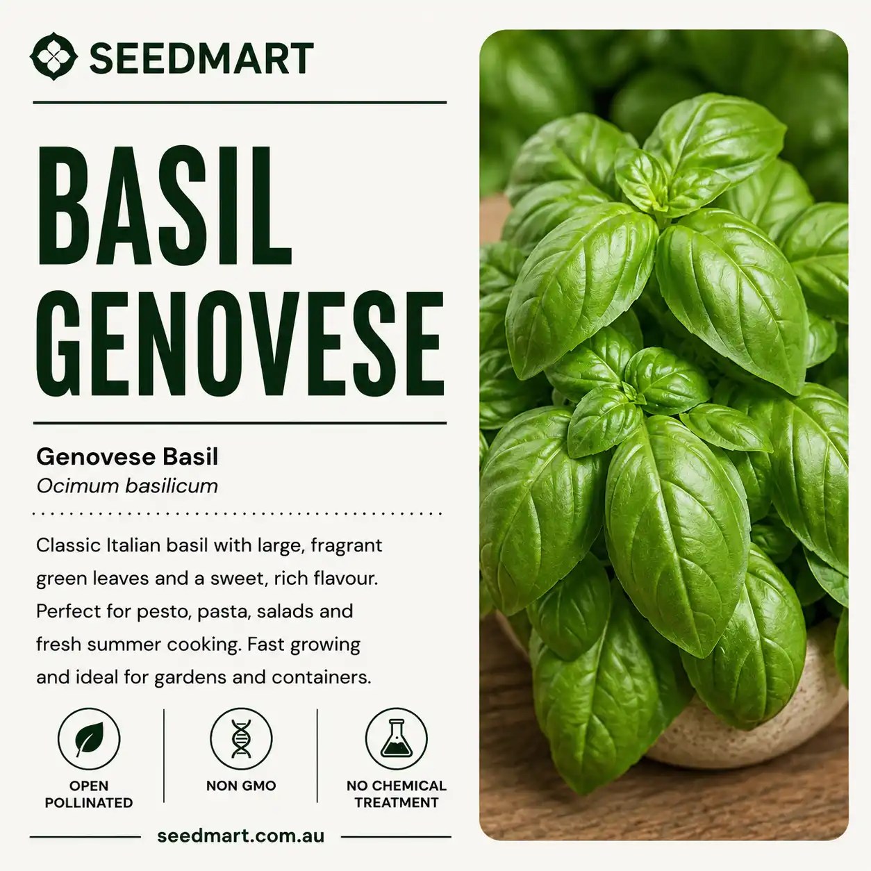 basil-genovese-seeds-seedmart-australia-1