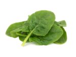 Spinach Baby Leaf Seeds | Seedmart Australia | Isolated