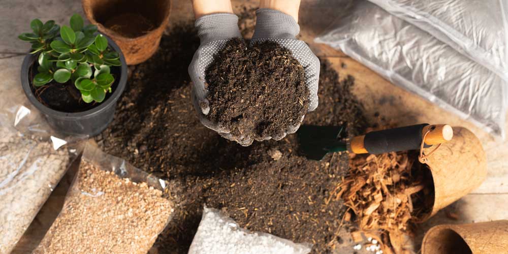 Vermiculite Header Blog Post | Seedmart Australia