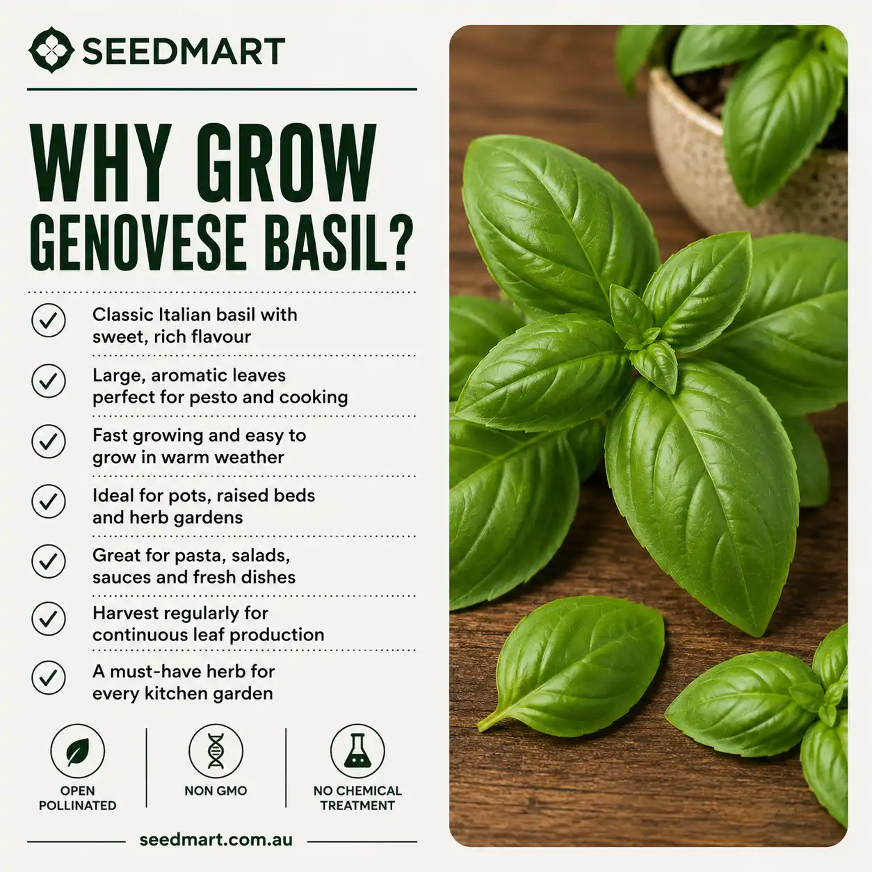 why-grow-basil-genovese-seeds-seedmart-australia