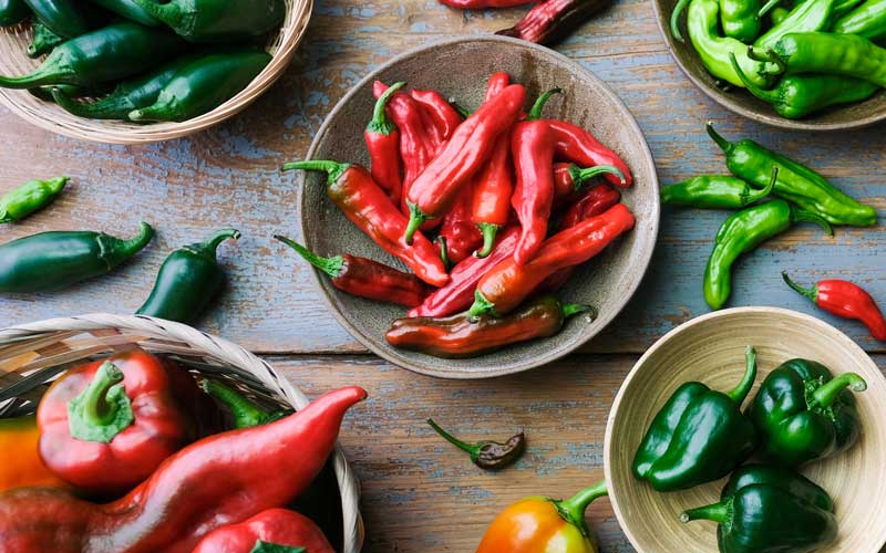 chilli-varieties-plate-seedmart-australia
