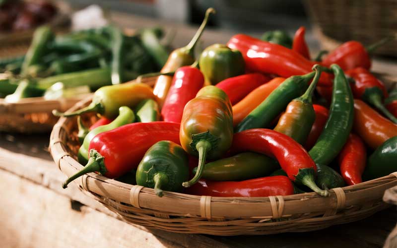 chilli-varieties-seedmart-australia