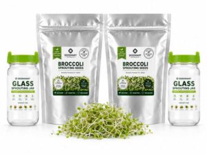 Broccoli Sprouting Kit | Jars & Seeds | Seedmart