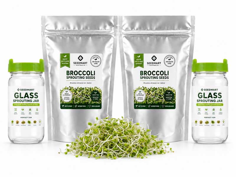 Broccoli Sprouting Kit | Jars & Seeds | Seedmart