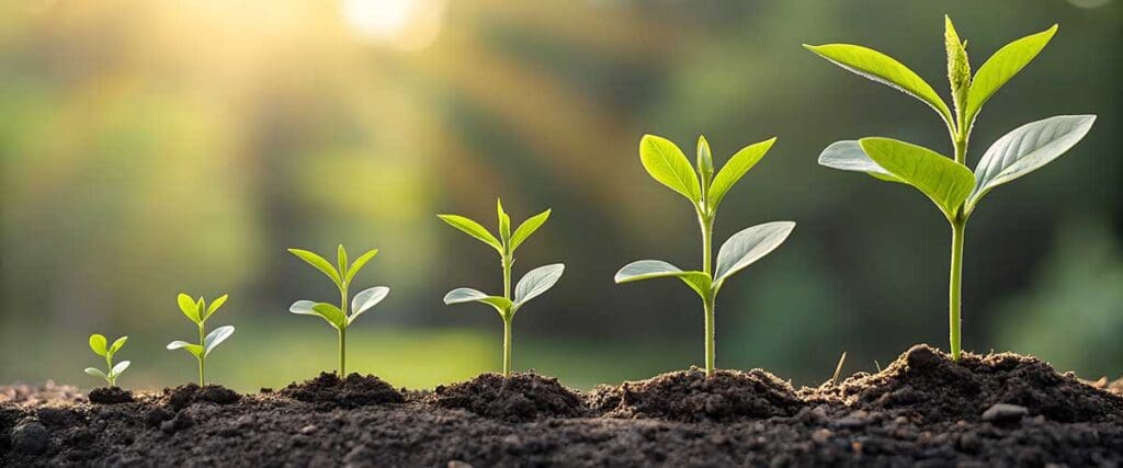 vermiculite-soil-growth-banner-seedmart-australia