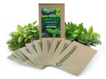Herb Seed Kit | Seedmart Australia