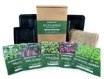 Microgreen Growing Starter Kit