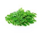 moringa-product-image-seedmart-australia