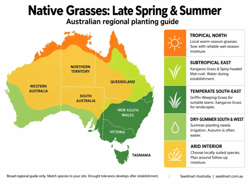 australian-native-grasses-planting-guide-seedmart-australia