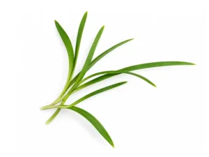 Garlic Chives Microgreen Seeds