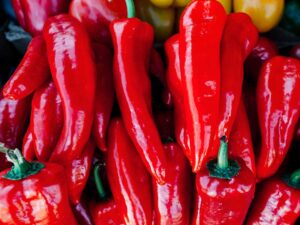 chilli-big-jim-closeup-seedmart-australia