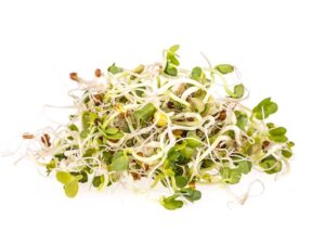 immunity-boost-sprouting-mix-seedmart-australia