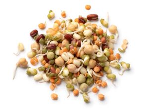 protein-power-sprouting-mix-seedmart-australia