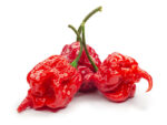 Chilli Carolina reaper | Seedmart Australia