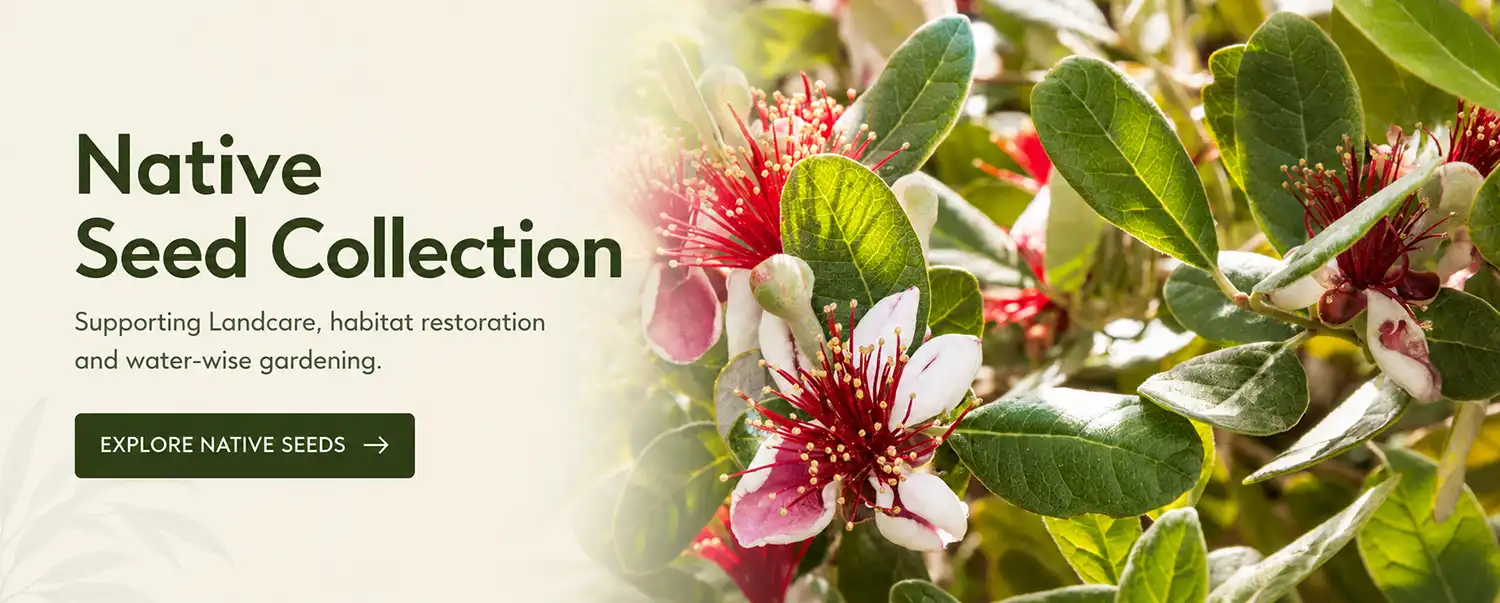 Native Seed Collection Hero Image | Seedmart Australia
