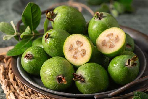 Feijoa Fruit Bowl | Seedmart Australia