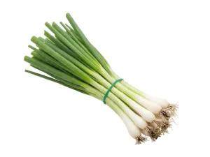 bunching-onion-white-lisbon-seeds-seedmart-australia