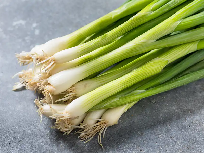 Bunching Onion White Lisbon Seeds - Image 2