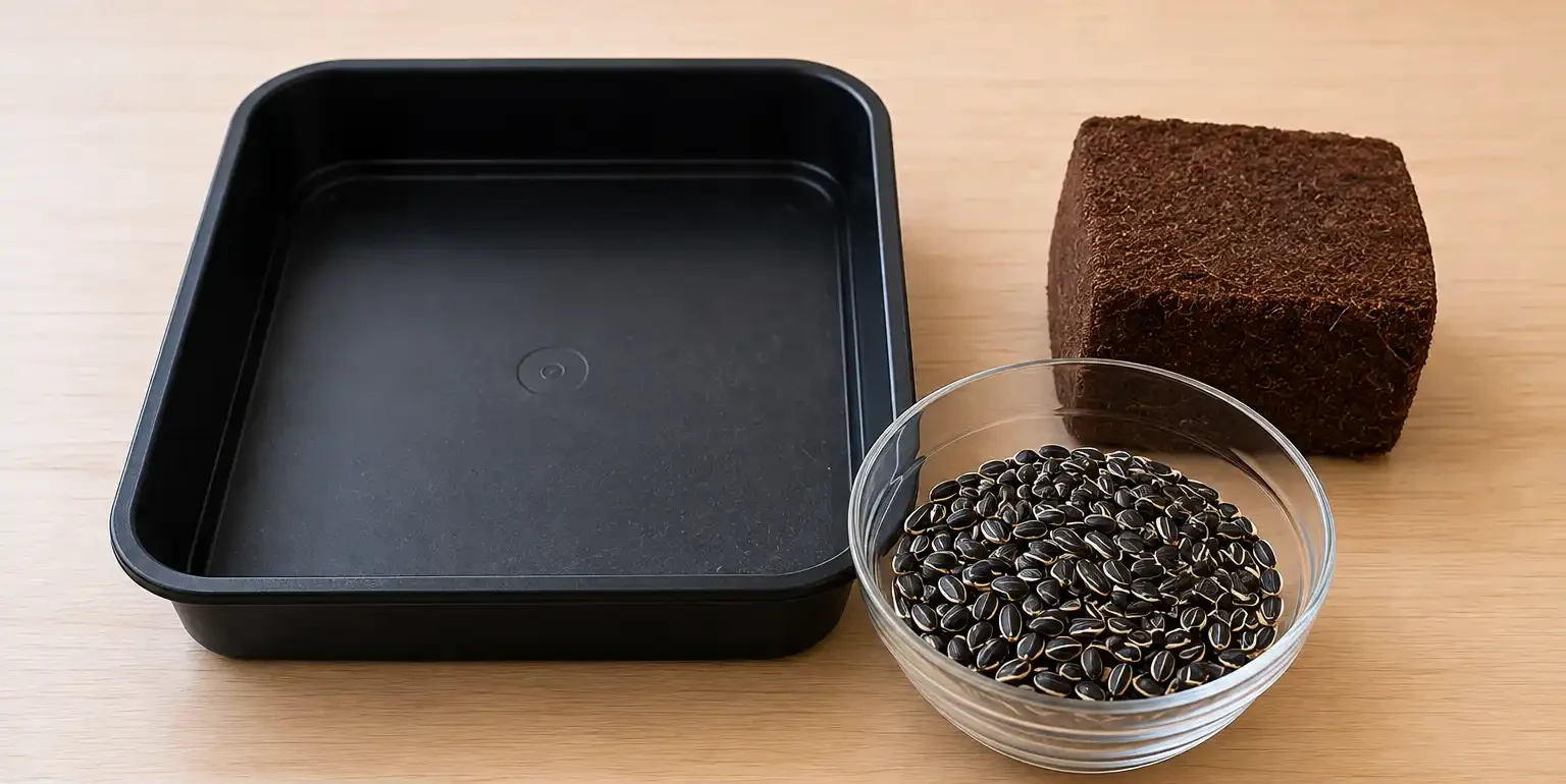 how-to-grow-black-sunflower-microgreens-step-1-seedmart-australia