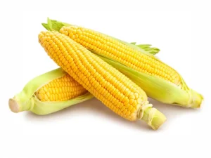 max-super-sweet-corn-seedmart-australia