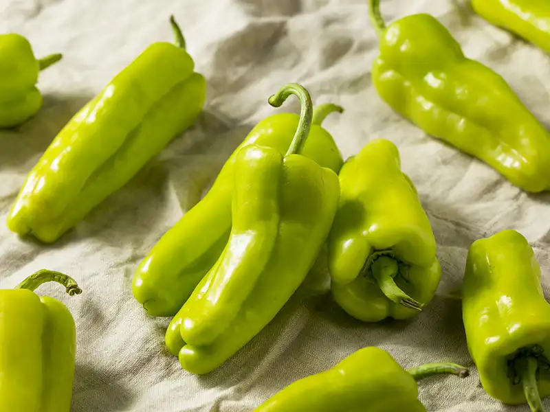 Cubanelle Sweet Pepper Vegetable Seeds – Singapore - Image 2