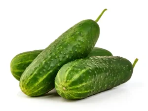 cucumber-sumter-seeds-seedmart-australia-singapore