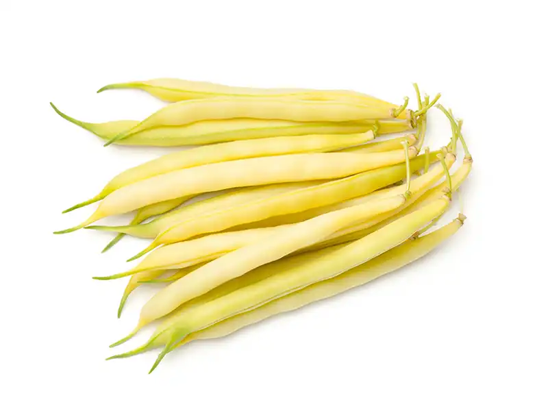kentucky-wonder-wax-climbing-beans-seeds-isolated-seedmart-australia