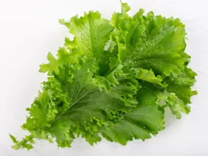 Mustard Southern Giant Curled Vegetable Seeds – Singapore