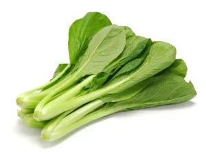 mustard-spinach-komatsuna-tendergreen-seeds-isolated-seedmart-australia-singapore