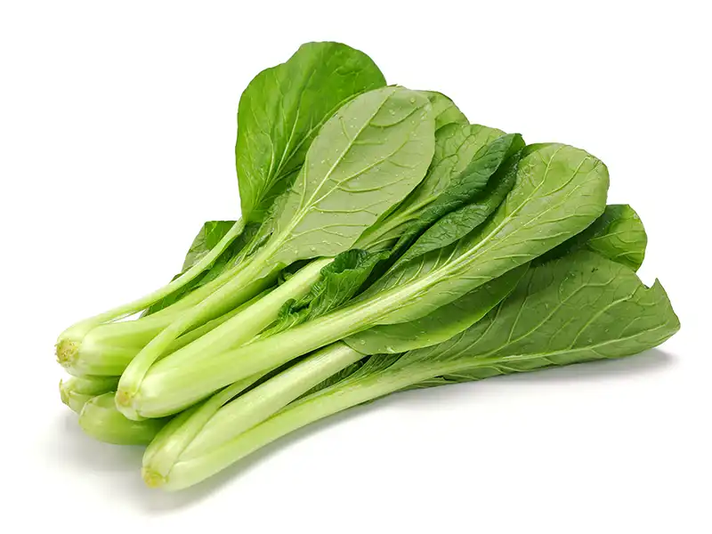 mustard-spinach-komatsuna-tendergreen-seeds-isolated-seedmart-australia-singapore