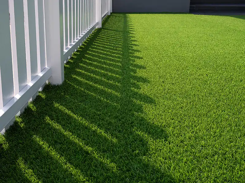 shade-lawn-grass-seed-mix-seedmart-australia