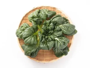 tatsoi-black-knight-seeds-isolated-seedmart-australia-singapore