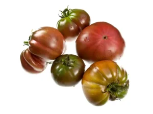 tomato-black-russian-seeds-isolated-seedmart-australia