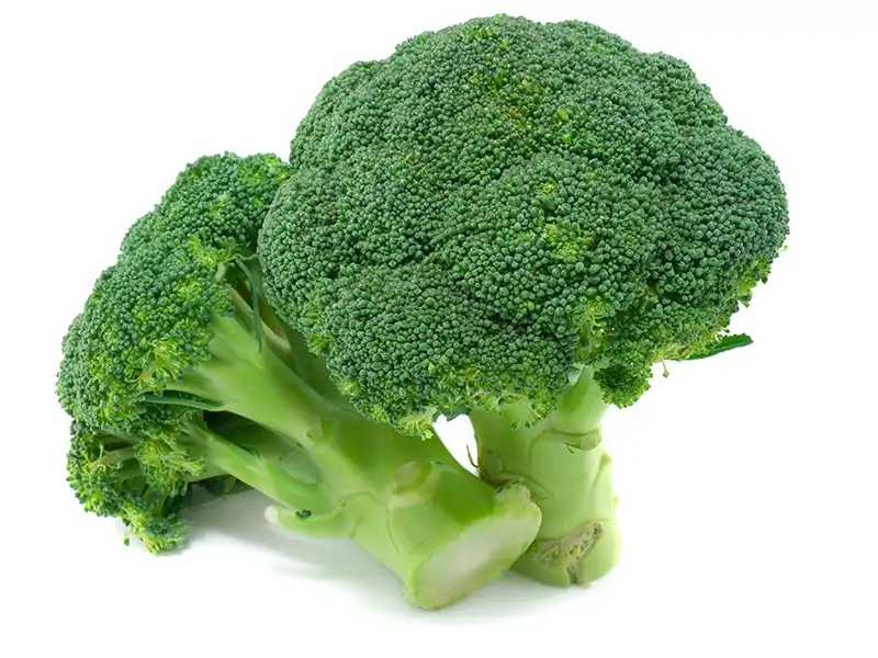 broccoli-green-king-seeds-seedmart-australia