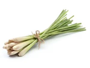 lemongrass-seeds-seedmart-australia